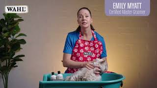 Four in One Cat Shampoo