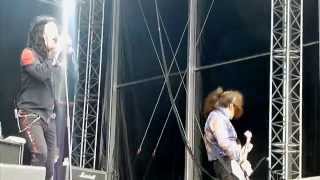 Jake E. Lee's Red Dragon Cartel - Shout It Out (Live SRF 2014)