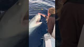 Download lagu Have you heard of tonic immobility? #tigershark #sharks #hawaii #ocean #sharkdiving #savesharks mp3