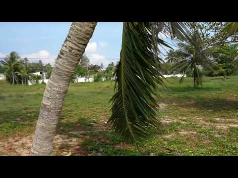 5.2 Rai of Beachfront Land For Sale at Natai with 80 meters of Beach Frontage