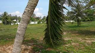 5.2 Rai of Beachfront Land For Sale at Natai with 80 meters of Beach Frontage