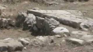 Temple of Astarte Trip, Kition, Larnaca, Cyprus