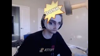 One and a Half Minutes of xQc Incorrectly Identifying Animals