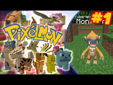 VINCO LA PRIMA PALESTRA! I boss leggendari SPACCANO! Minecraft Pixelmon Ita