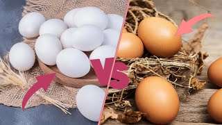 Brown Egg or White Egg: Which is Better for Skin?