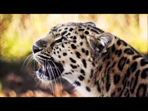 Free Drake x Jaden Smith Type Beat (Prod. By Back) [DL Link In The Desc.]