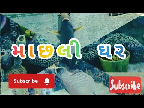 Sneyha, Arbin & Javan Fun Playing WithReal Fish in Inflatable Swimming pool- CuteSneyha's Show