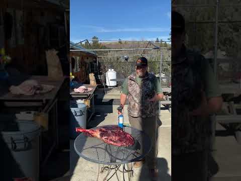 Best way to remove hair from animals meat