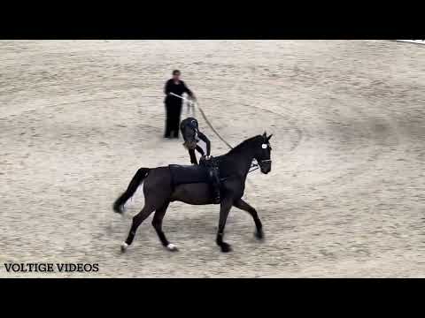 FEI Vaulting World Cup Final Basel 2024 - Kimberly Palmer USA - Tech Test