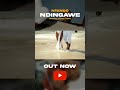 Check Out Ntando Ndingawe Official Music Video Fyp Music