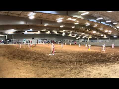 Asti AKC Premier JWW 7.8.2023