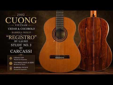 Cuong Classical Guitar 2002 w Barbera Pickup image 10