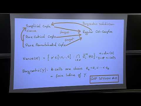 Graham ELLIS - Computational group theory, cohomology of groups and topological methods 1