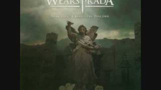 Dogs Can Grow Beards All Over- Devil Wears Prada