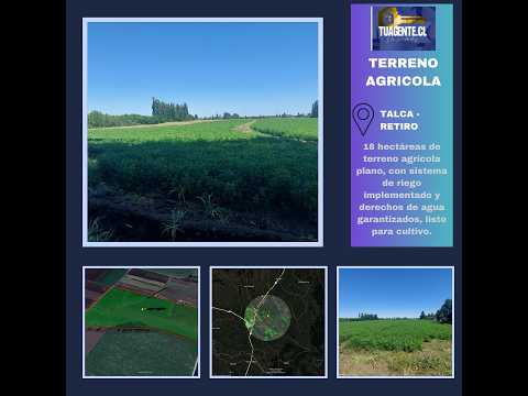0232 Gran Oportunidad Se Vende Campo Agrícola en el Sector el Retiro Talca