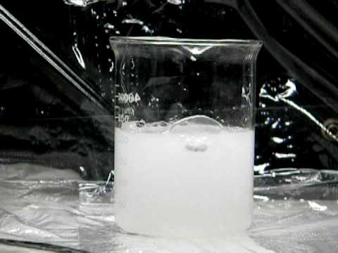 鈣與水反應 (Calcium Reacts with Water)