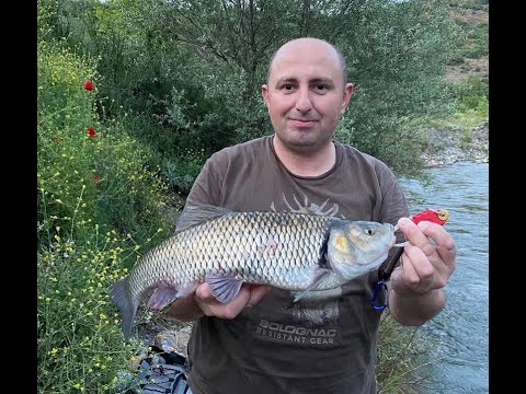 ATÇEK KASNA AVI LRF İLE KASNA AVI