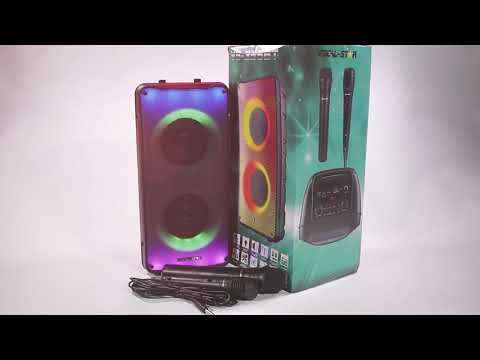 VS-355BT Vocal-Star Portable Bluetooth party 100W speaker with LED ring and full flame light Review