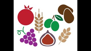 האם יש משמעות לסדר המשנה▪️ הרב נחמנסון ▪️ (כולל הוראה ומשפט)*** (הרב יהודה לייב נחמנסון) - התמונה מוצגת ישירות מתוך אתר האינטרנט יוטיוב. זכויות היוצרים בתמונה שייכות ליוצרה. קישור קרדיט למקור התוכן נמצא בתוך דף הסרטון