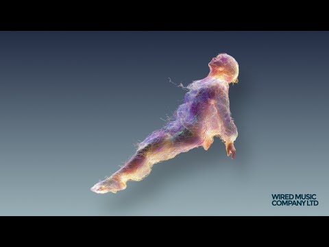 VoodooChild - Coming Down (Extended Mix) [Wired]