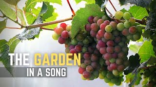 You Were Made for More - Evan Doukas, ft. Corbin York | The Creation, Garden and Restoration Story