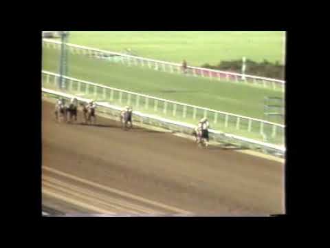 1985 Hollywood Park PHONE TRICK Laffit Pincay Debonair Stakes $60,000