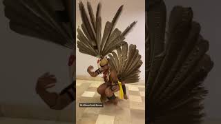 Download lagu Bird Dance Dayak Borneo mp3 Download lagu Bird Dance Dayak Borneo mp3