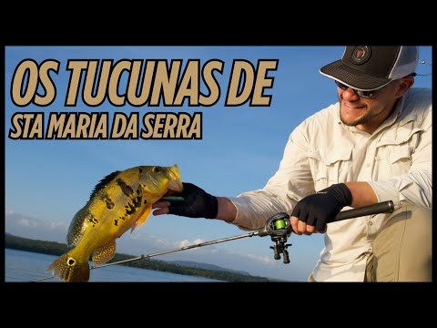UM DIA NA REPRESA DE SANTA MARIA DA SERRA EM BUSCA DOS AMARELÕES  | FEAT GUIA FABINHO