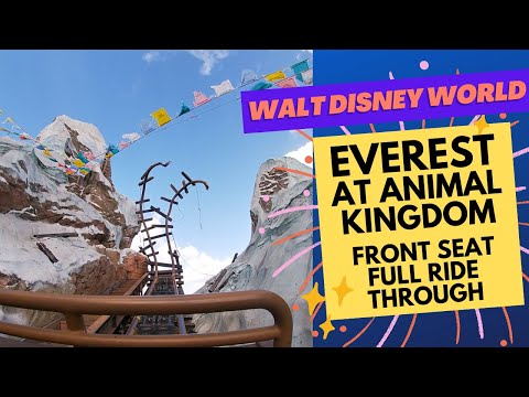 Mount Everest Roller Coaster at Disney World | Full FRONT SEAT POV ride through | Expedition Everest