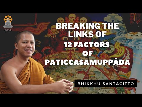 Breaking the Links of Paticcasamuppada I Buddhism I Bhante Santacitto #agamabuddha