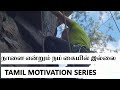 Naalai Endrum Nam Kaiyil Illai Tamil Motivation LIC Status Video
