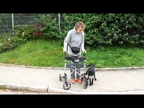 Basima zeigt die Fußarbeit am Rollator