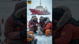 Frozen Chains: The Falcon's Fight for Freedom
