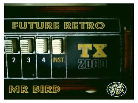Mr. Bird - Future Retro (Freqnik & Wdre Remix).wmv