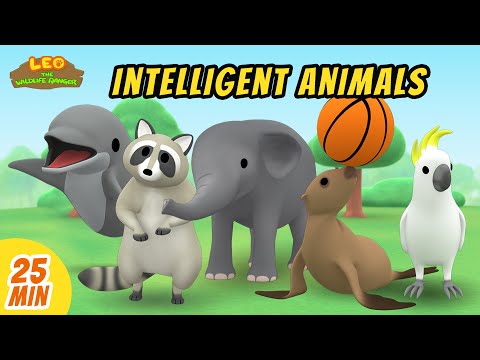 Intelligent Animals Minisode Compilation - Leo the Wildlife Ranger | Animation | For Kids