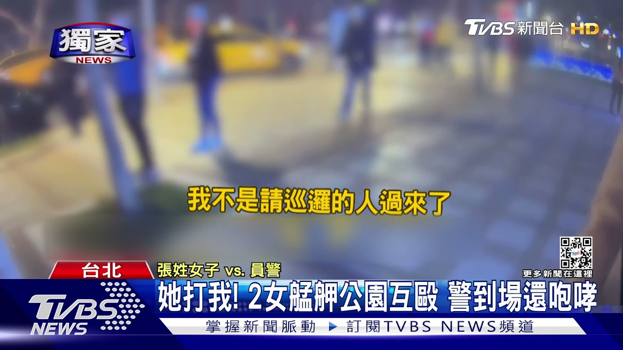 別拉我!女艋舺公園打架「上警車還嗆聲」 警停車壓制