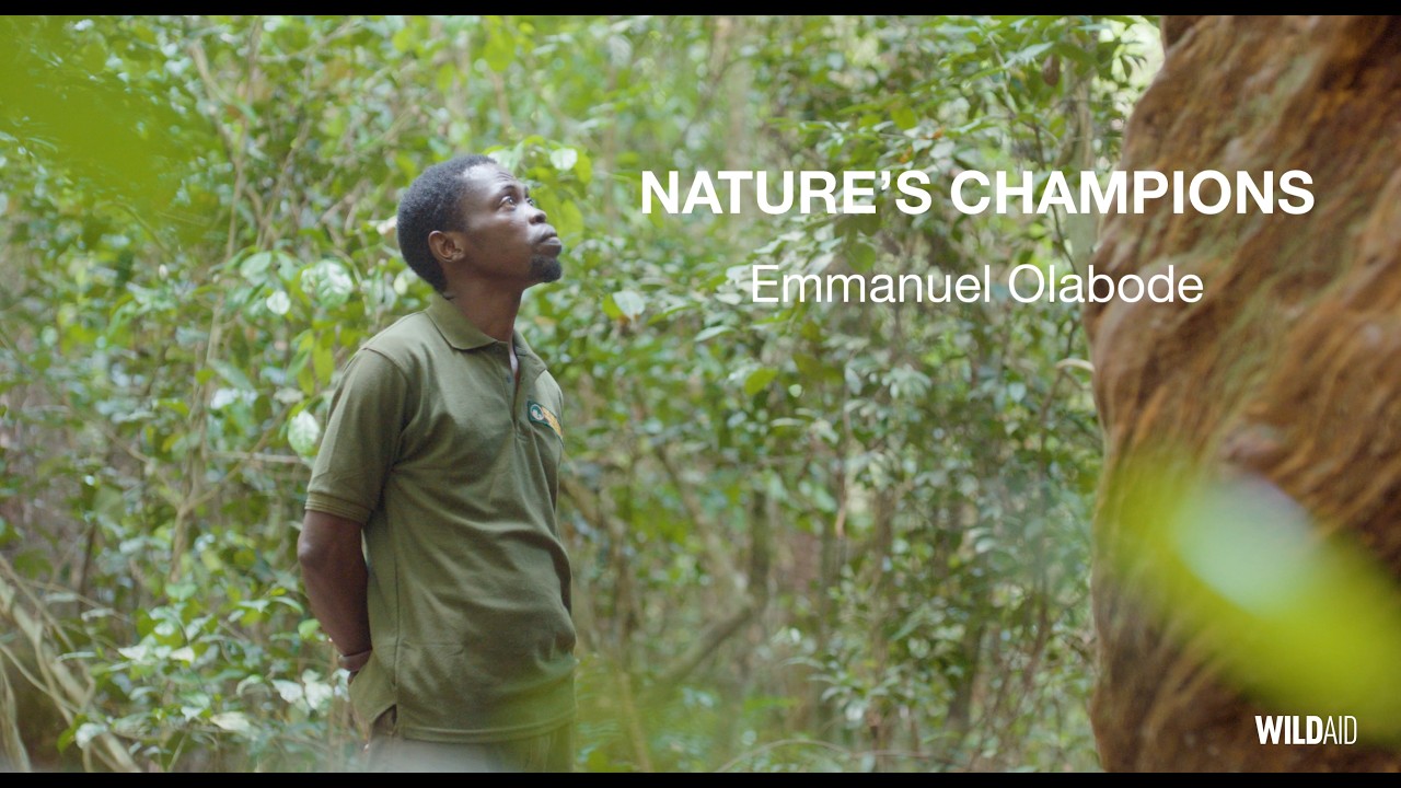 Nature's Champions - Emmanuel Olabode