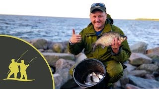 Ловля на дамбе финского залива фидер