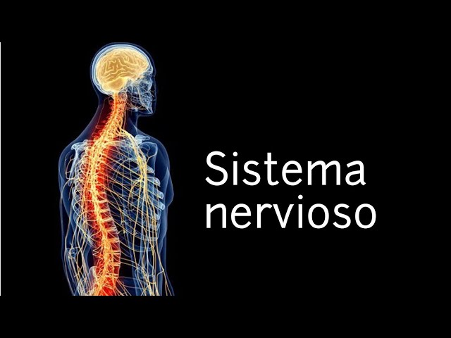 Vídeo relacionado con Ciencias de la Naturaleza 6 (Comunidad Zoom)