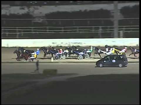 Trotto 23/12/2014 - 5° corsa