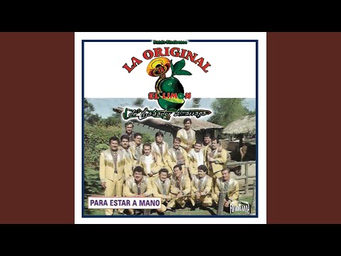 Miniatura de Te llevaste lo mejor