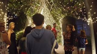 Merry Christmas for All