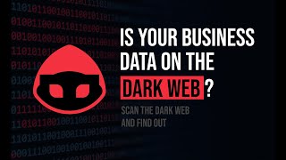 Dark Web Monitoring for Business: Lifetime Subscription
