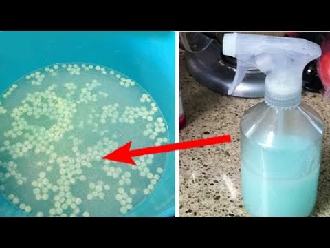 Wie du einen natürlichen Raumduft mit nur wenigen Zutaten selbst herstellst!