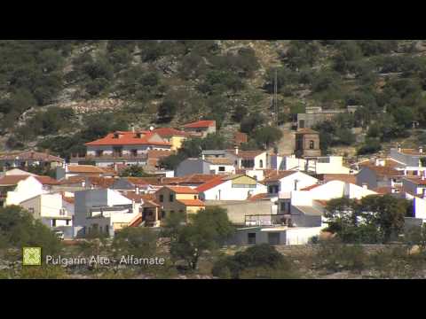 Gran Senda de Málaga. Etapa 10: Alfarnatejo (Pulgarín Alto)-Alfarnate