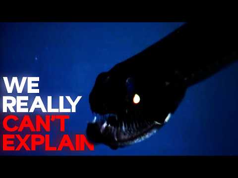 Why The Mariana Trench Breeds The Creepiest Creatures On The Planet
