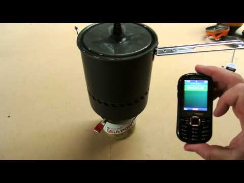 MSR Reactor Frozen Canister Test
