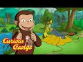 George Loves Camping Outside Curious George Kids Cartoon Kids Movies