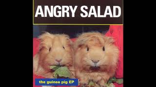 Angry Salad - Did I Hurt You?