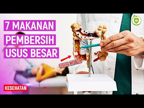 PENCERNAAN LANCAR! INI 7 MAKANAN PEMBERSIH USUS BESAR